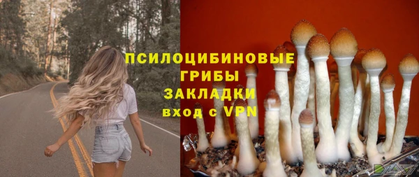 кокс Алзамай