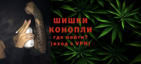 МДПВ Липки