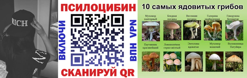 hydra ссылки  Орёл  Псилоцибиновые грибы Psilocybine cubensis 